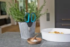 GARDENA HerbCut Set -Exporteren Tuin Helper Winkel gardena herbcut set 1500x1000 640af8238ccaf l