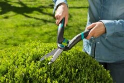 GARDENA PrecisionCut Heggenschaar -Exporteren Tuin Helper Winkel gardena precisioncut heggenschaar 1500x1000 640af7caf009e l