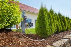 GARDENA Micro-Drip-System Startset M 25m Autom. Rijplanten -Exporteren Tuin Helper Winkel gardena startset m 25m autom 1500x1000 640af4f6bb51a l