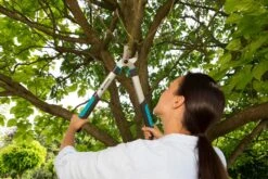 GARDENA Takkenschaar EasyCut 500 B -Exporteren Tuin Helper Winkel gardena takkenschaar easycut 500 b 1500x1000 640af7e5d4f80 l