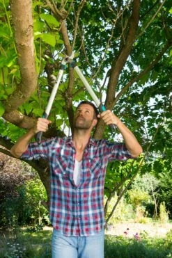 GARDENA Takkenschaar EasyCut 680 B 9 GARDENA Takkenschaar EasyCut 680 B -Exporteren Tuin Helper Winkel gardena takkenschaar easycut 680 b 1000x1500 640af7e944a14 l