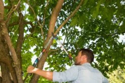 GARDENA Takkenschaar TeleCut Long 650-900 B -Exporteren Tuin Helper Winkel gardena telecut long 650 900b 1500x1001 640af7f15744f l