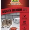 KB Muizen Lokdoos Granen 'Generation Grain'Tech' 2 Stuks -Exporteren Tuin Helper Winkel kb muizen lokdoos granen generation grain tech 2 stuks 333x500 61d6fc70bfc6f l