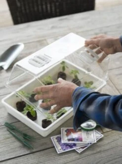 Nature Deksel Voor Kweekbak 55x31cm -Exporteren Tuin Helper Winkel nature deksel voor kweekbak 55x31cm 595x800 6214a0230c942 l