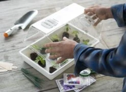 Nature Deksel Voor Kweekbak 55x31cm -Exporteren Tuin Helper Winkel nature deksel voor kweekbak 55x31cm 800x587 6214a0233f631 l