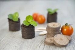 Nature Turftabletten 48st -Exporteren Tuin Helper Winkel nature turftabletten 48st 800x532 6214a01453d91 l