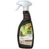 Pokon Bio Plantkuur Bladinsectgevoelige Planten Spray 750ml -Exporteren Tuin Helper Winkel pokon bio plantkuur bladinsecten spray 750ml 1614005884 l