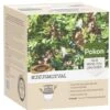 Pokon Buxusmotval 2 Pokon Buxusmotval -Exporteren Tuin Helper Winkel pokon buxusmotval 1614005875 l