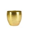 Pot Kody Gold D21 H16 -Exporteren Tuin Helper Winkel pot kody gold d21 h16 1590420987 l