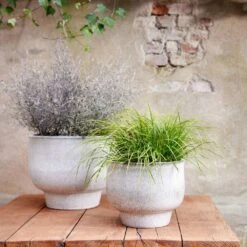 Pot Mila Wit - Ø 50 X H 40 Cm 8 Pot Mila Wit - Ø 50 X H 40 Cm -Exporteren Tuin Helper Winkel pot mila wit 50 x h 40 cm 1000x1000 62416ef6ef0af l