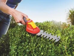 WOLF-Garten Accubuxus Finesse LI-ION PW 30B 7 WOLF-Garten Accubuxus Finesse LI-ION PW 30B -Exporteren Tuin Helper Winkel wolf garten accubuxus finesse li ion pw 30b 1619177776 1 l