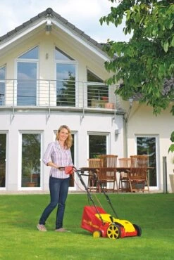 WOLF-Garten Elektro Verticuteermachine VA 303 E -Exporteren Tuin Helper Winkel wolf garten elektro verticuteermachine va 303 e 1619177784 1 l