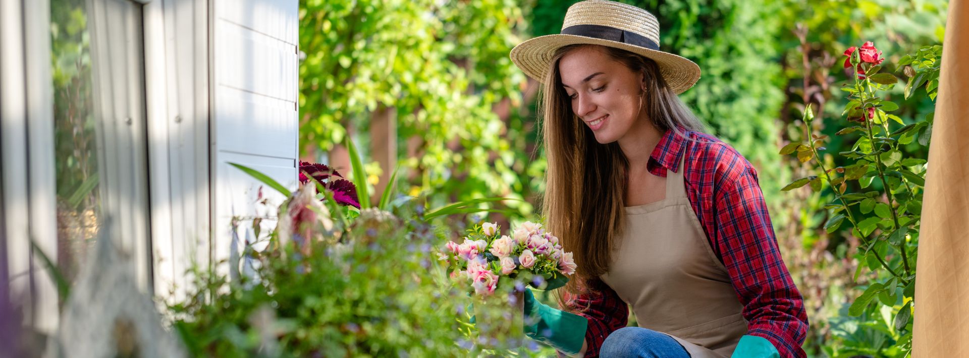 Exporteren Tuin Helper Winkel -Exporteren Tuin Helper Winkel FAQ Home Garden Desktop 1